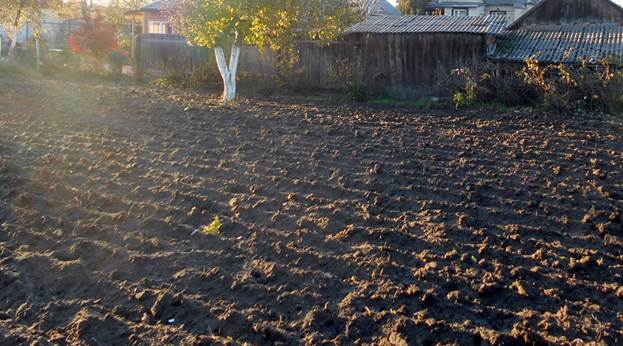 Почва на дачном огороде